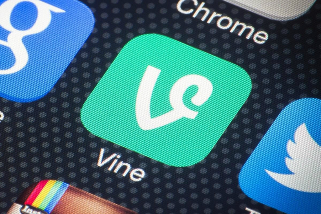 What is Vine and how do I use it?