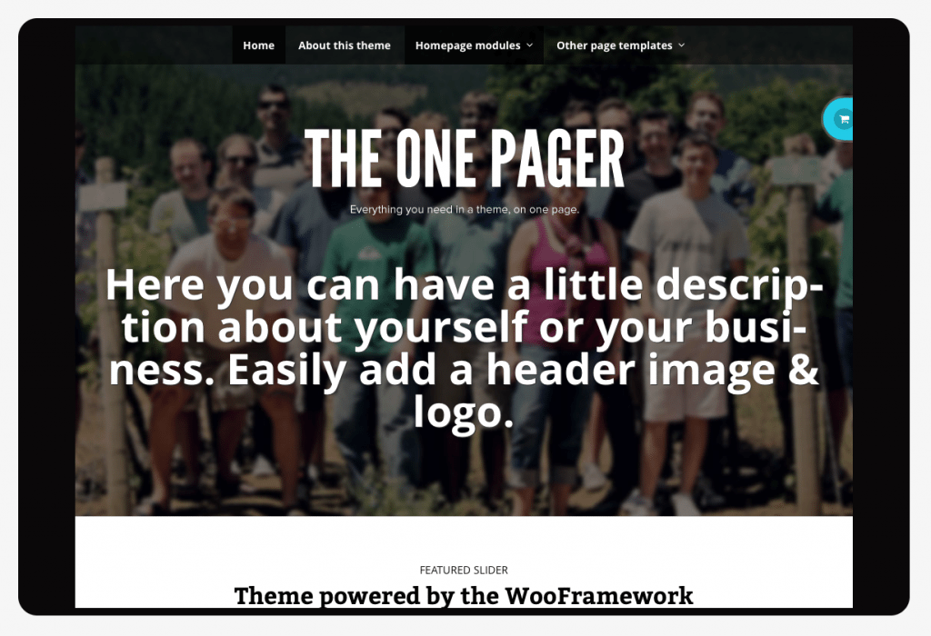 Screen Shot TheOnePager