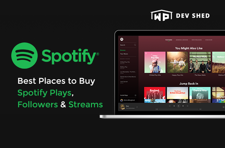 Best Places to Buy Spotify Plays, Followers & Streams